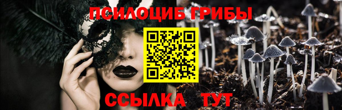 Псилоцибиновые грибы Psilocybe  Псилоцибиновые грибы ЛСД  Вход с VPN  Ишимбай 